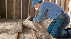 Best Attic Insulation Installation  in Vamo, FL